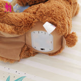 Teddy Bear Reading Story Book - The unique Gadget